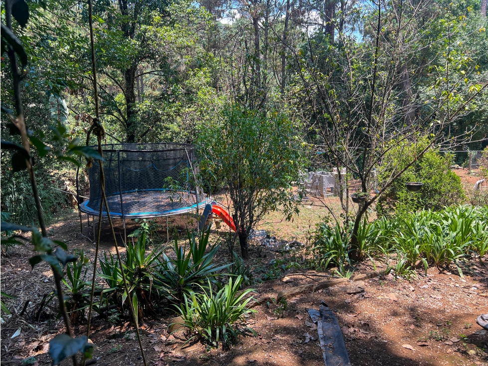 OPORTUNIDAD TERRENO PARA DESARROLLO|AVANDARO|VALLE DE BRAVO — foto 6
