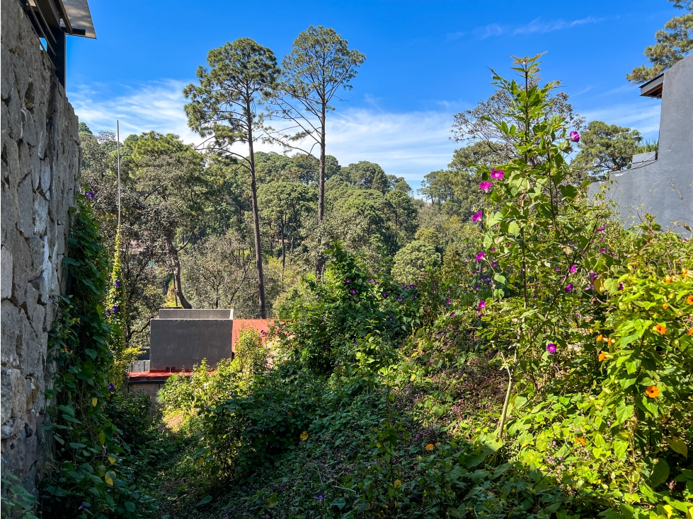 TERRENO EN VENTA|VISTA AL BOSQUE EN AVANDARO|VALLE DE BRAVO