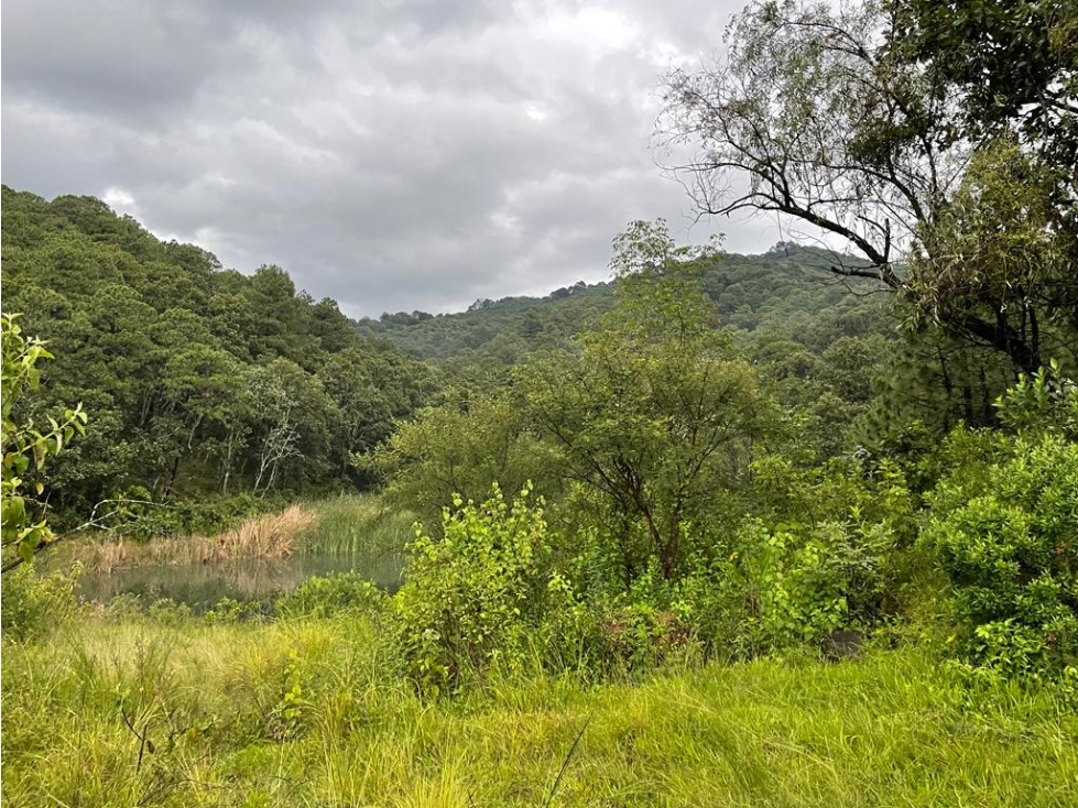 EXCLUSIVOS LOTES EN VENTA| NATURALEZA Y TRANQUILIDAD| VALLE DE BRAVO - 6