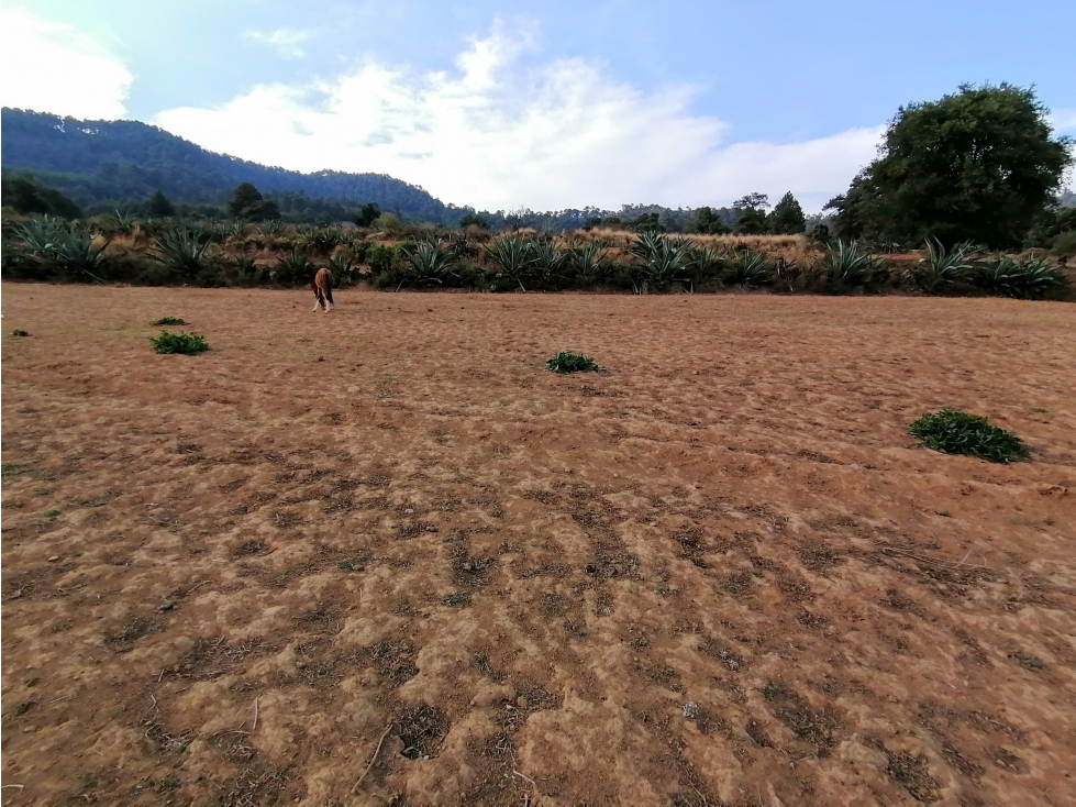 TERRENO EN VENTA SAN MIGUEL XOLTEPEC — foto 5