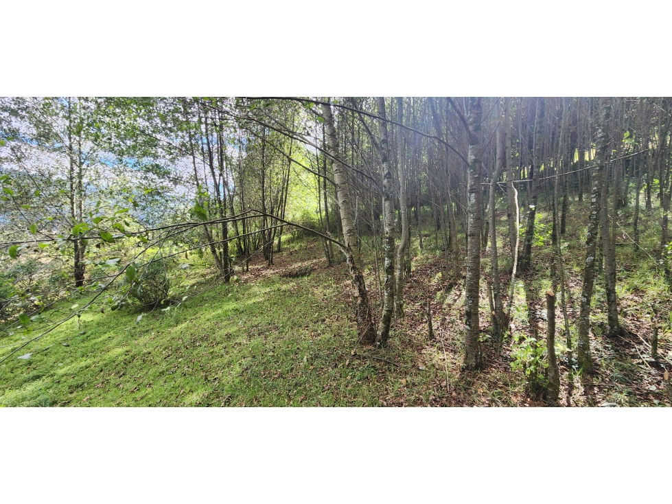OPORTUNIDAD DE TERRENO CAMPIRANO — foto 6