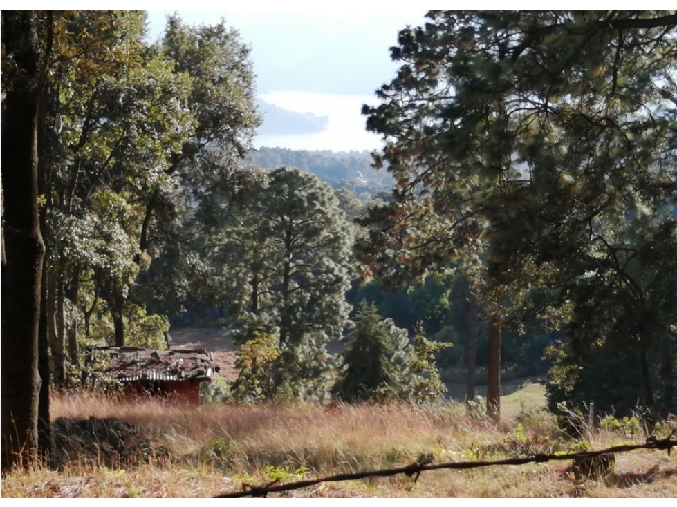 TERRENO EN VENTA / IXTLA VALLE DE BRAVO — foto 2