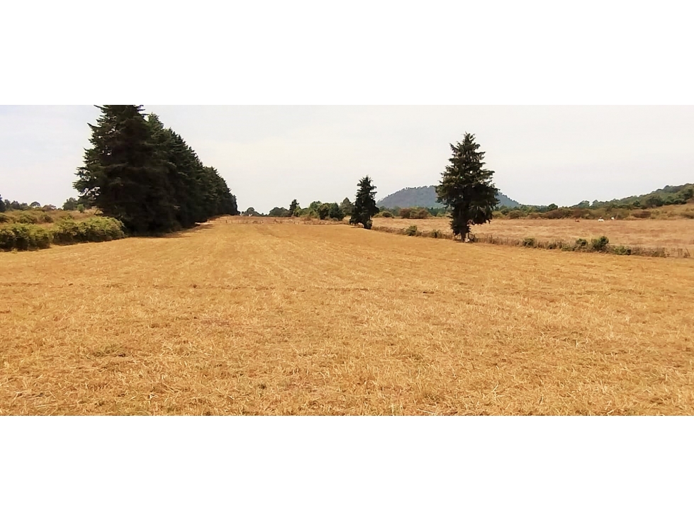 TERRENO EN VENTA / EL MANZANO /CERRO GORDO