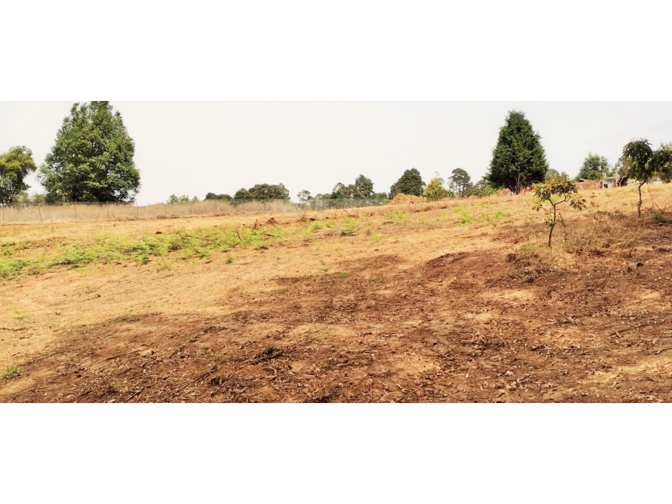 VENTA TERRENO /EL MANZANO/ CERRO GORDO — foto 6