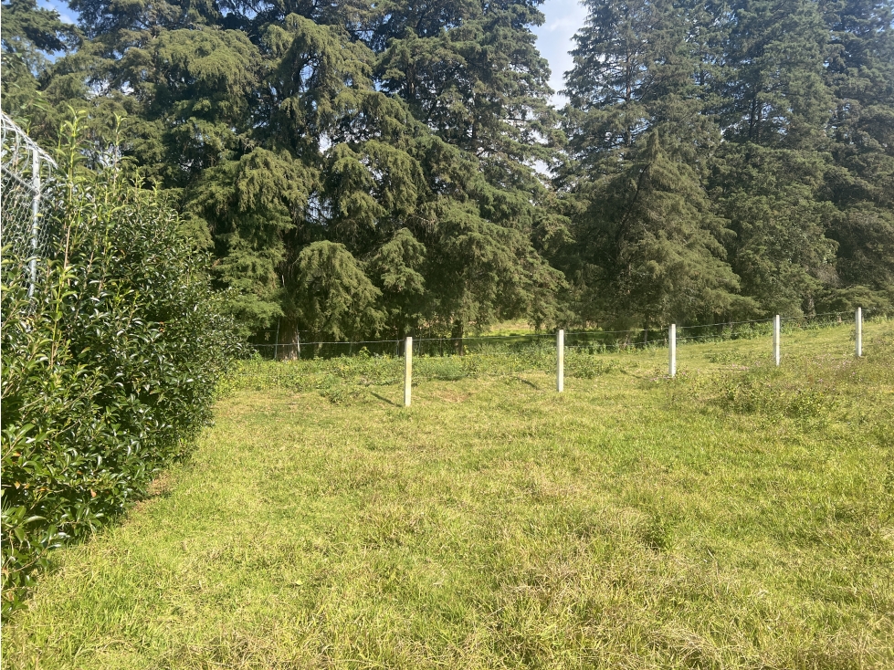 TERRENO EN VENTA|CERRADA CON BOSQUE|ACATITLAN|VALLE DE BRAVO — foto 4