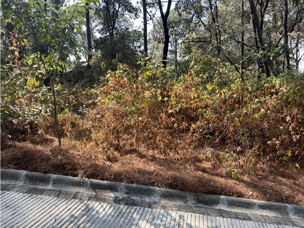 LOTES EN VENTA|ENTORNO BOSCOSO|CIRCUITO AVANDARO|VALLE DE BRAVO — foto 5