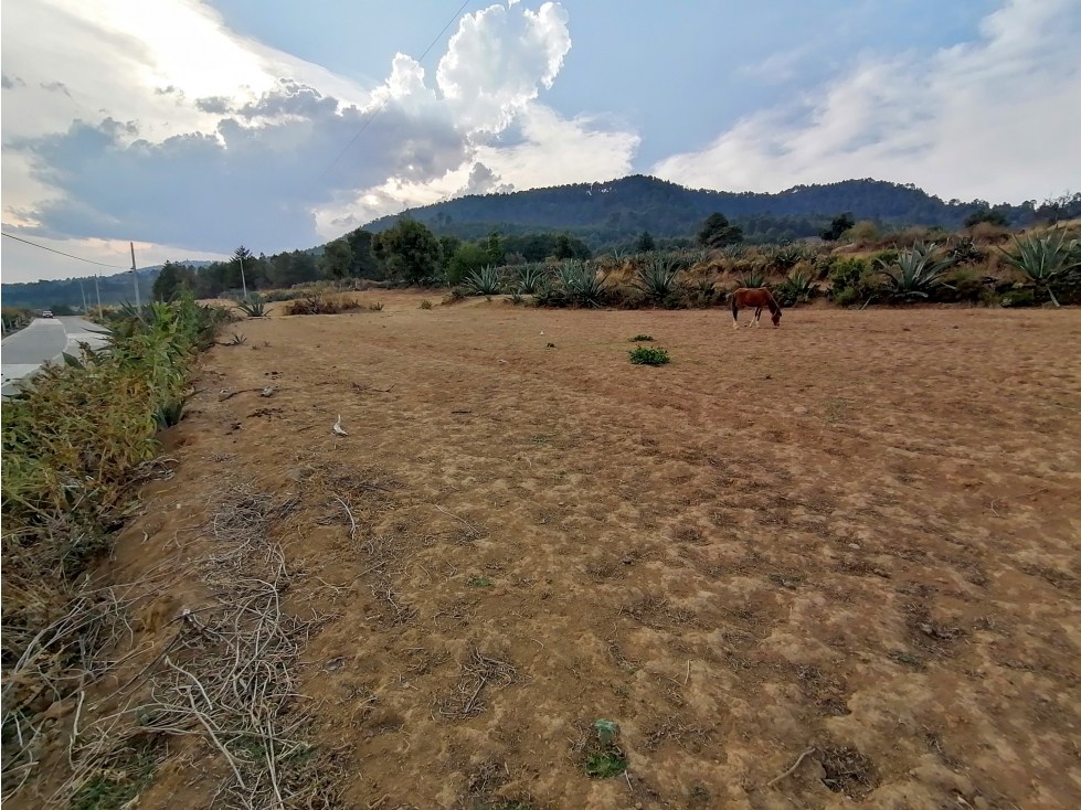 TERRENO EN VENTA SAN MIGUEL XOLTEPEC — foto 2