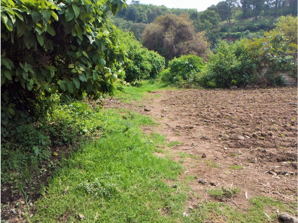 TERRENO EN PIPIOLTEPEC,VALLE DE BRAVO — foto 4