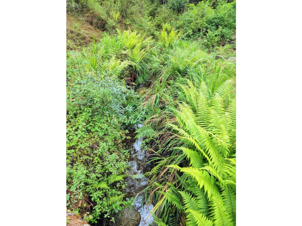 VENTA /TERRENO /SAUCOS /VALLE DE BRAVO — foto 3