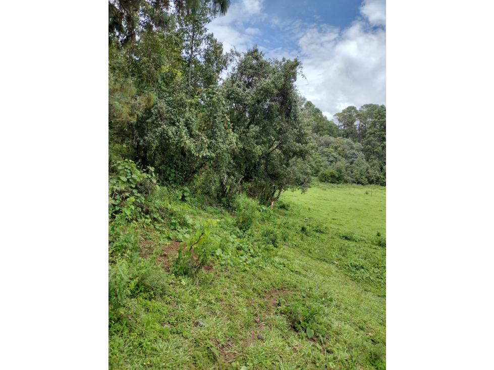 TERRENO EN VENTA/EL MANZANO/CERRO GORDO — foto 6