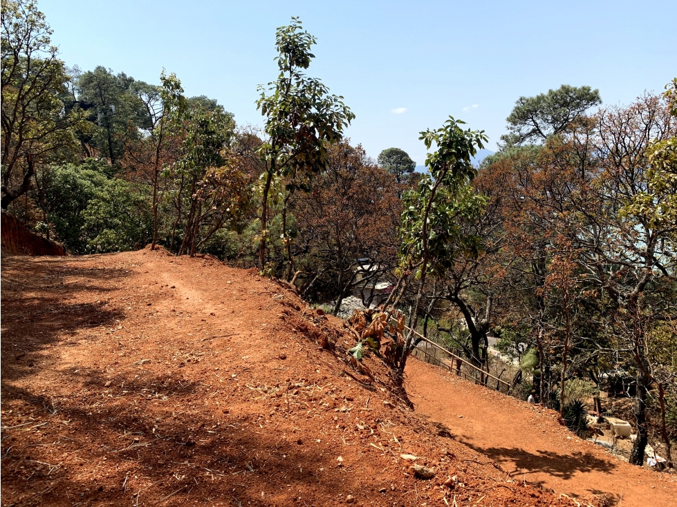 TERRENO CON VISTA AL LAGO| VALLE DE BRAVO — foto 4