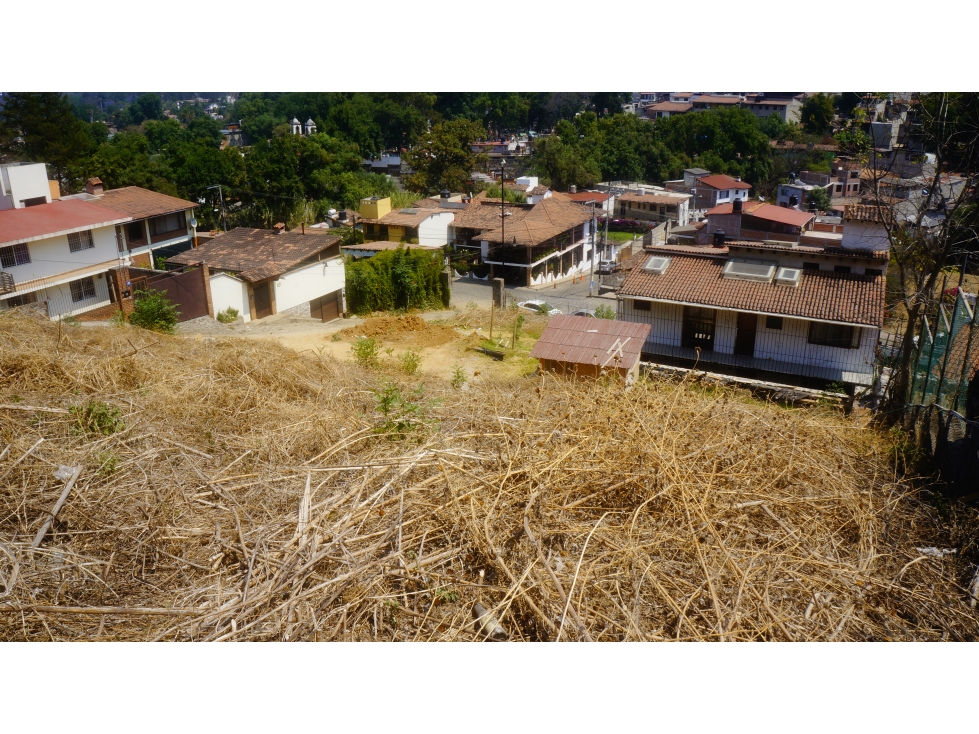 TERRENO EN VENTA CENTRÍCO — foto 6