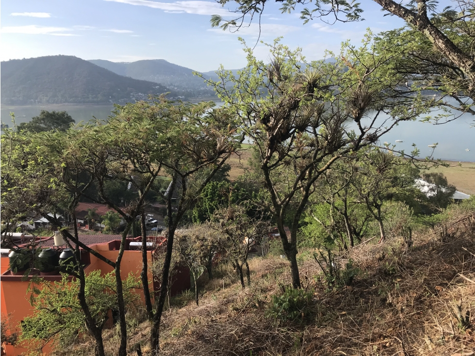 TERRENO EN VENTA, EXCELENTE VISTA PANORAMICA AL LAGO — foto 6