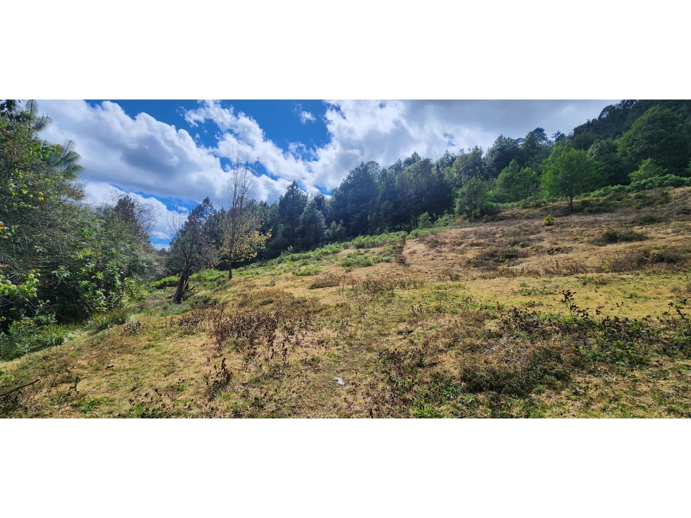 OPORTUNIDAD DE TERRENO CAMPIRANO — foto 5