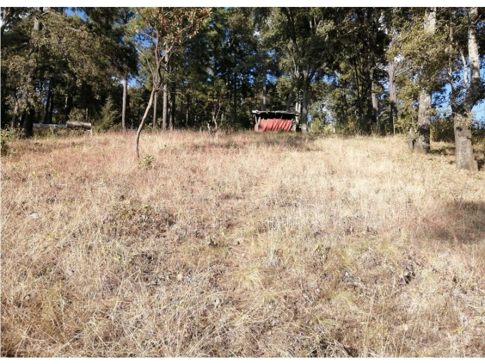 TERRENO EN VENTA / IXTLA VALLE DE BRAVO