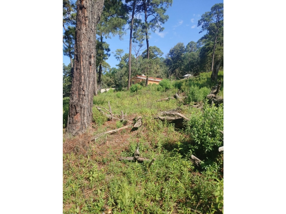 TERRENO EN VENTA | MONTE ALTO | VALLE DE BRAVO