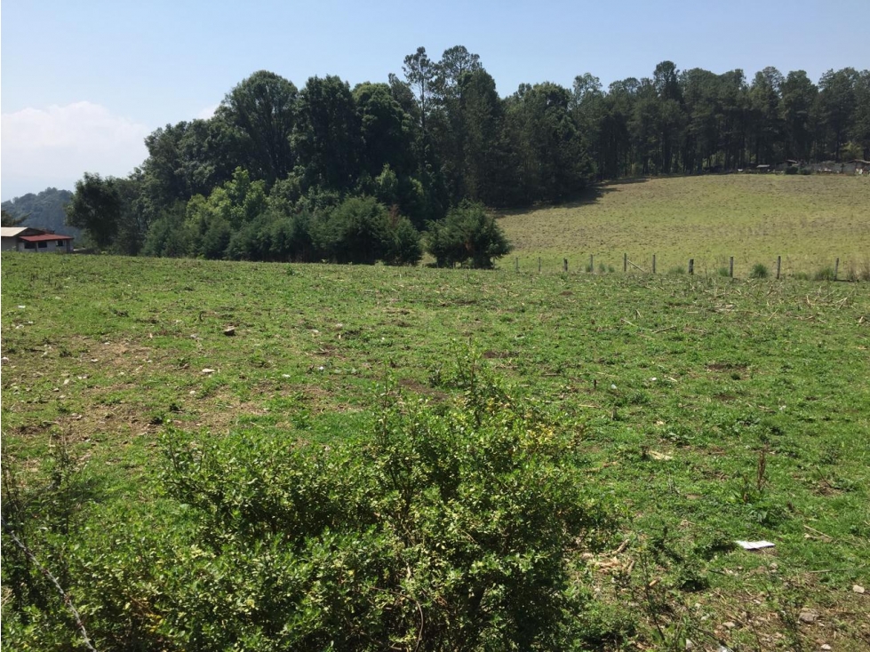 TERRENO CON CONSTRUCCIÓN | MESA RICA | 20 KM VALLE DE BRAVO — foto 4