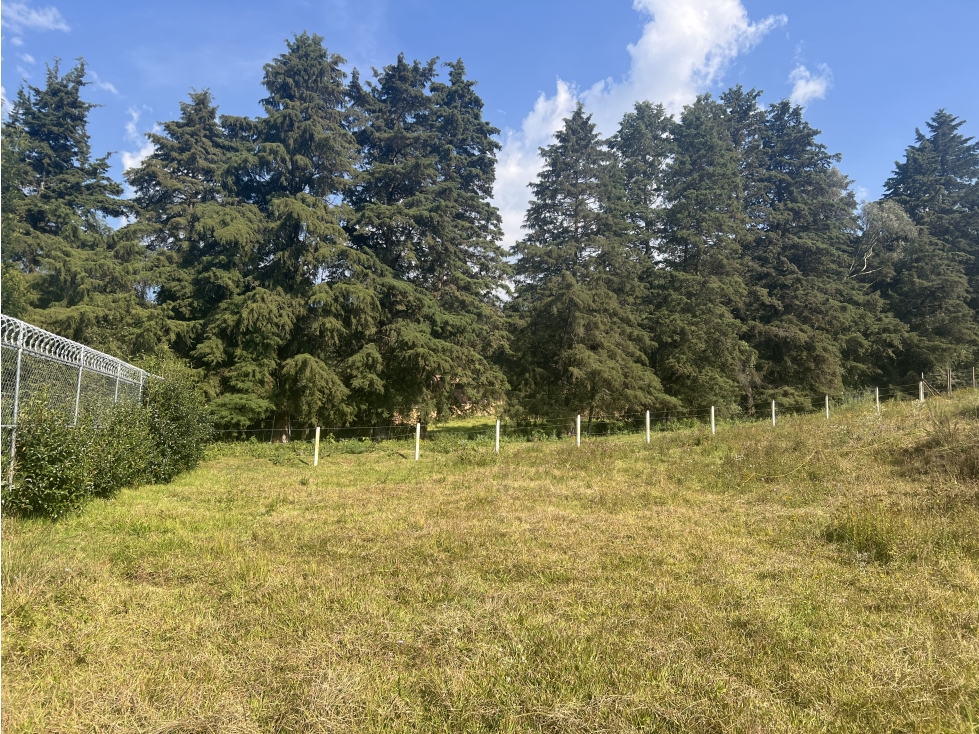 TERRENO EN VENTA|CERRADA CON BOSQUE|ACATITLAN|VALLE DE BRAVO — foto 6