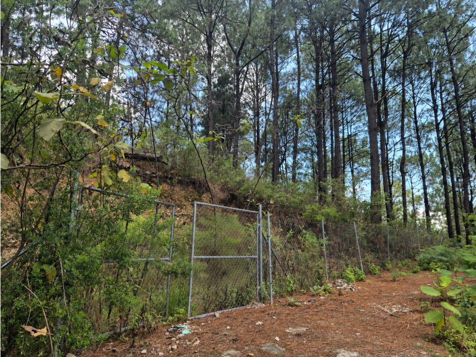 EXCLUSIVO TERRENO || ZONA ALTA PLUSVALÍA