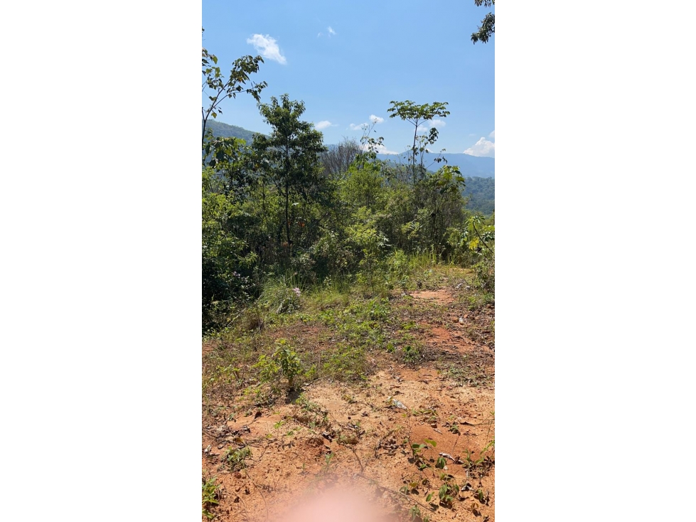 Terreno en Venta - Banda de Shilcayo - 1