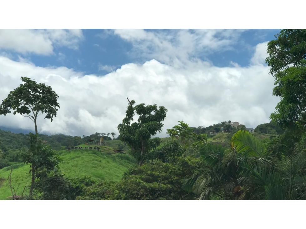 Terreno en venta - Tarapoto - Sector Tacunga - 5