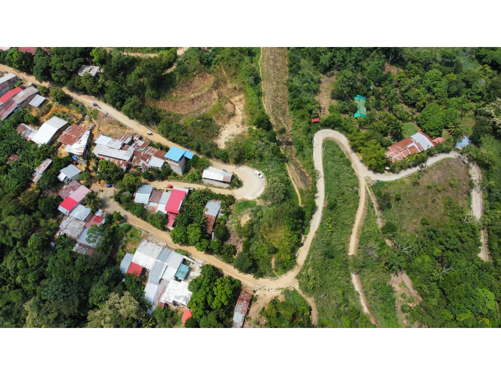 Terreno en venta - Tarapoto - Sector Tacunga - 3