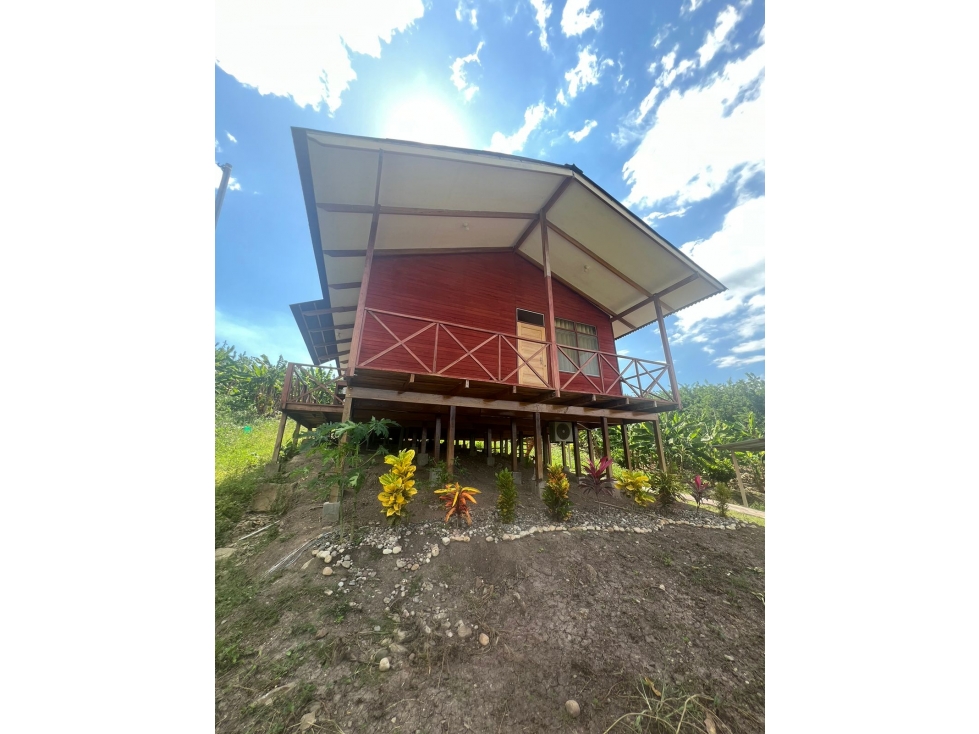 Casa de Campo en 7 Has. en Venta - Lamas - El Saucal - 2