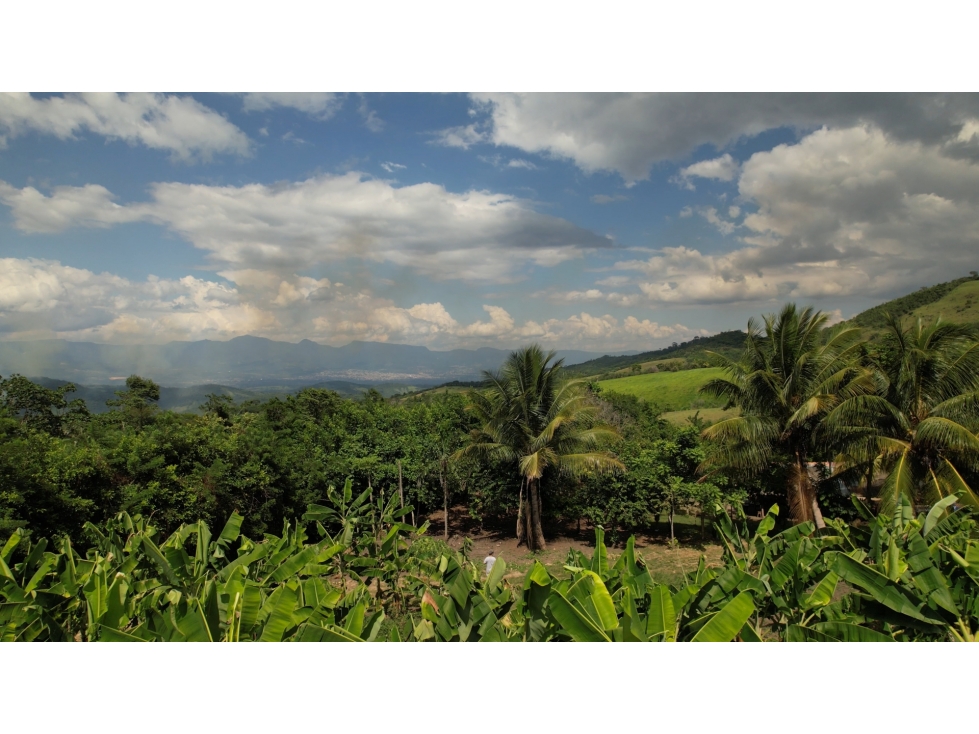 Casa de Campo en 7 Has. en Venta - Lamas - El Saucal - 3