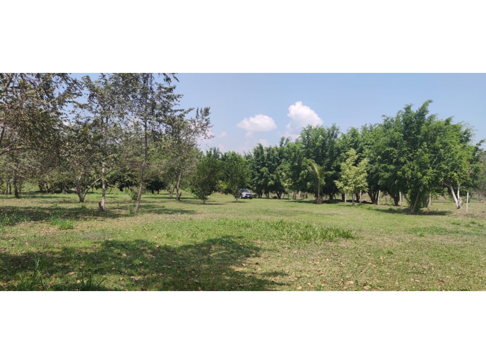 Terreno Tarapoto - 3 de Octubre - 10,000 m2 - US$45 x m2 — foto 2