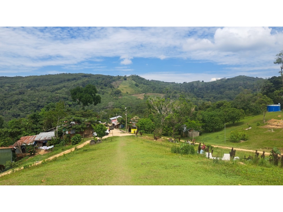 Terreno de 1.345 hectáreas en venta - Tarapoto - 1