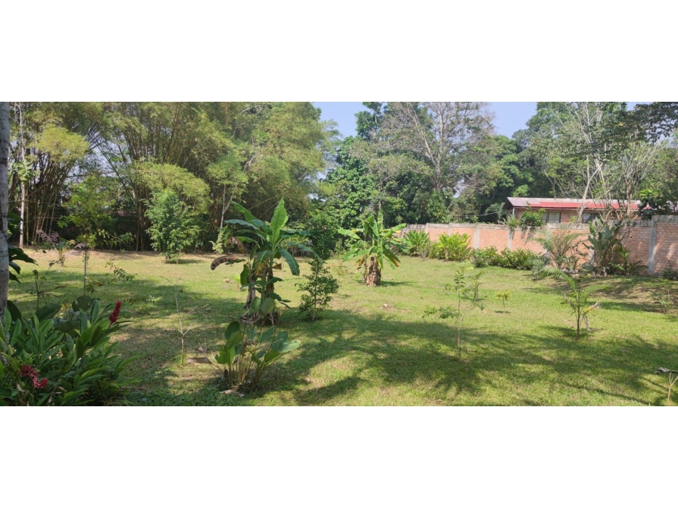 Tarapoto - Terreno circulado con quebrada - 1 ha. - 3