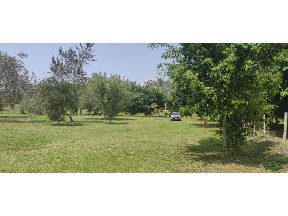 Terreno Tarapoto - 3 de Octubre - 10,000 m2 - US$45 x m2 — foto 3