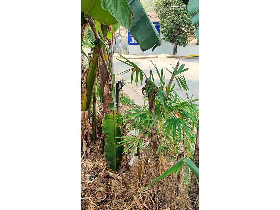 Tarapoto - Terreno en Venta - 1,137 m2 - Dist. La Banda de Shilcayo - 3