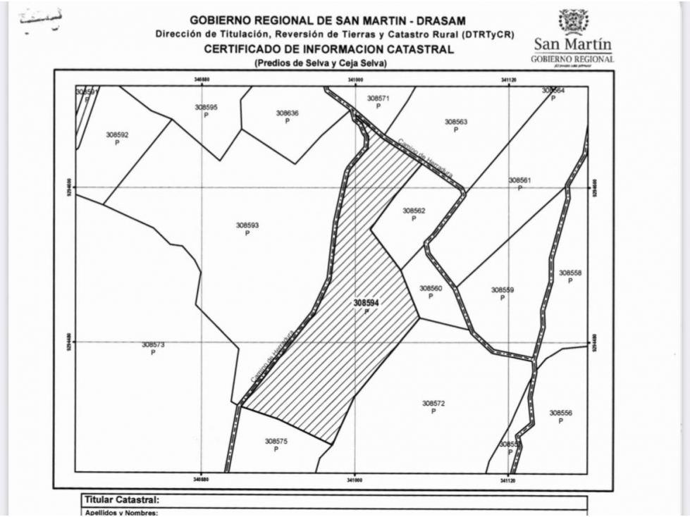 Terreno de 1.345 hectáreas en venta - Tarapoto - 4