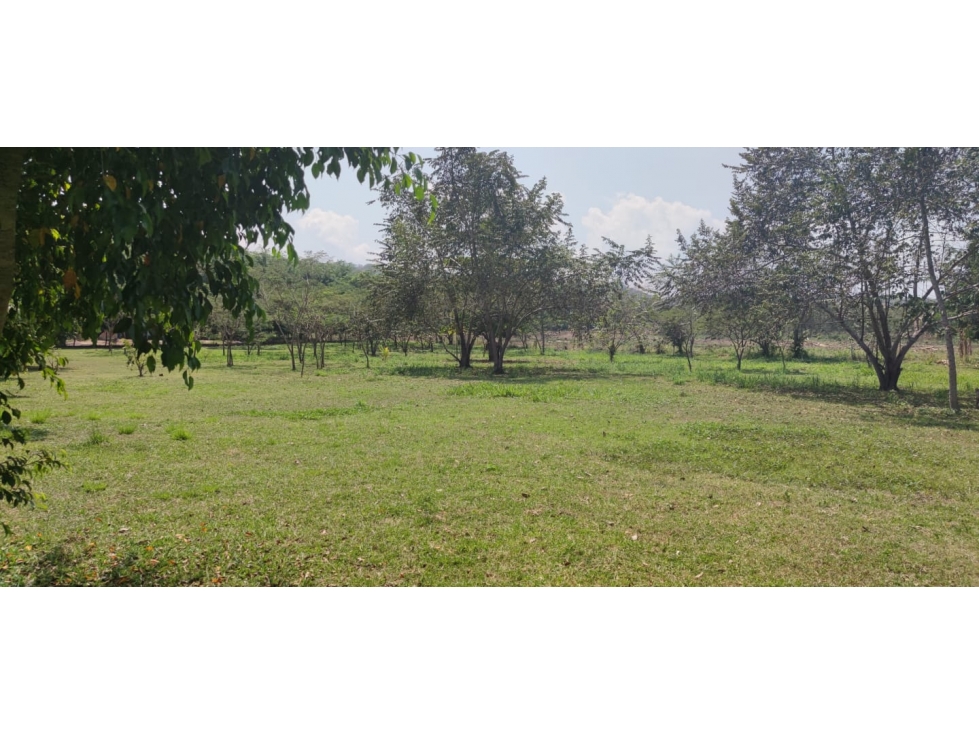 Terreno Tarapoto - 3 de Octubre - 10,000 m2 - US$45 x m2 — foto 4