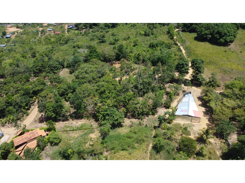 Tarapoto - Terreno en Venta - 1,057 m2 - Con Vista Panorámica - 3