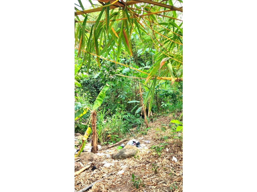 Tarapoto - Terreno en Venta - 1,137 m2 - Dist. La Banda de Shilcayo - 4
