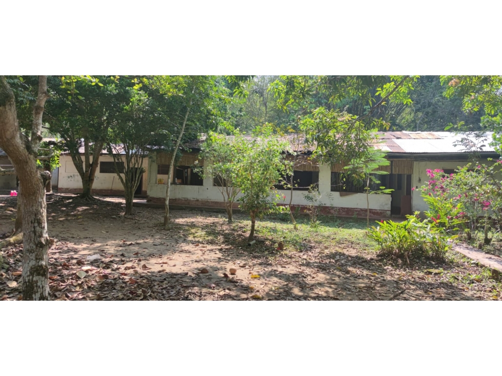 Tarapoto - Terreno circulado con quebrada - 1 ha. - 5