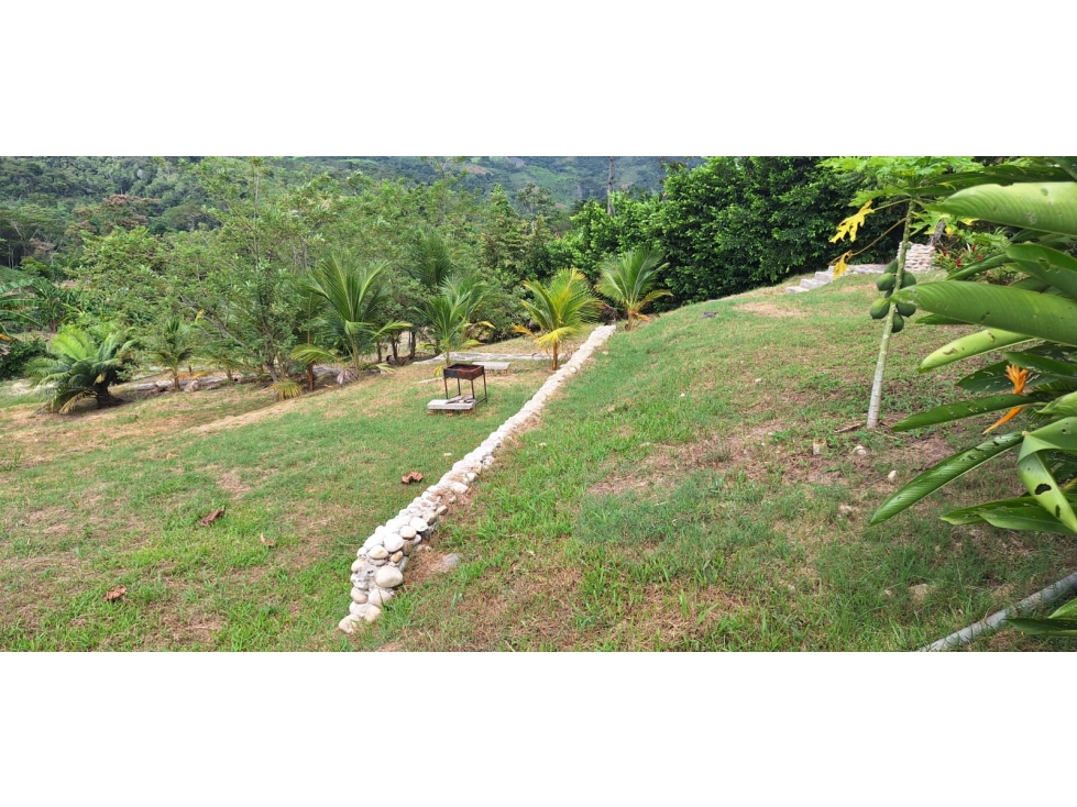 Casa de Campo con Piscina - Bello Horizonte - Tarapoto - 5