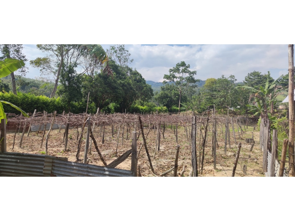 Tarapoto - Terreno en Venta 800 m2 - San Antonio de Cumbaza - 6