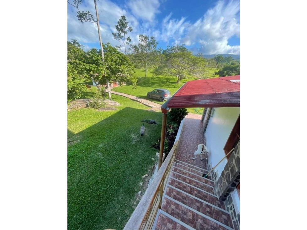 Casa de Campo en Venta - Lamas (Pamashto) - 4