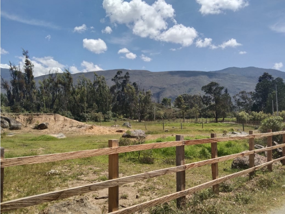 VENDO LOTE DE 11.000 METROS PLANOS - VEREDA EL ROBLE - VILLA DE LEYVA - 2