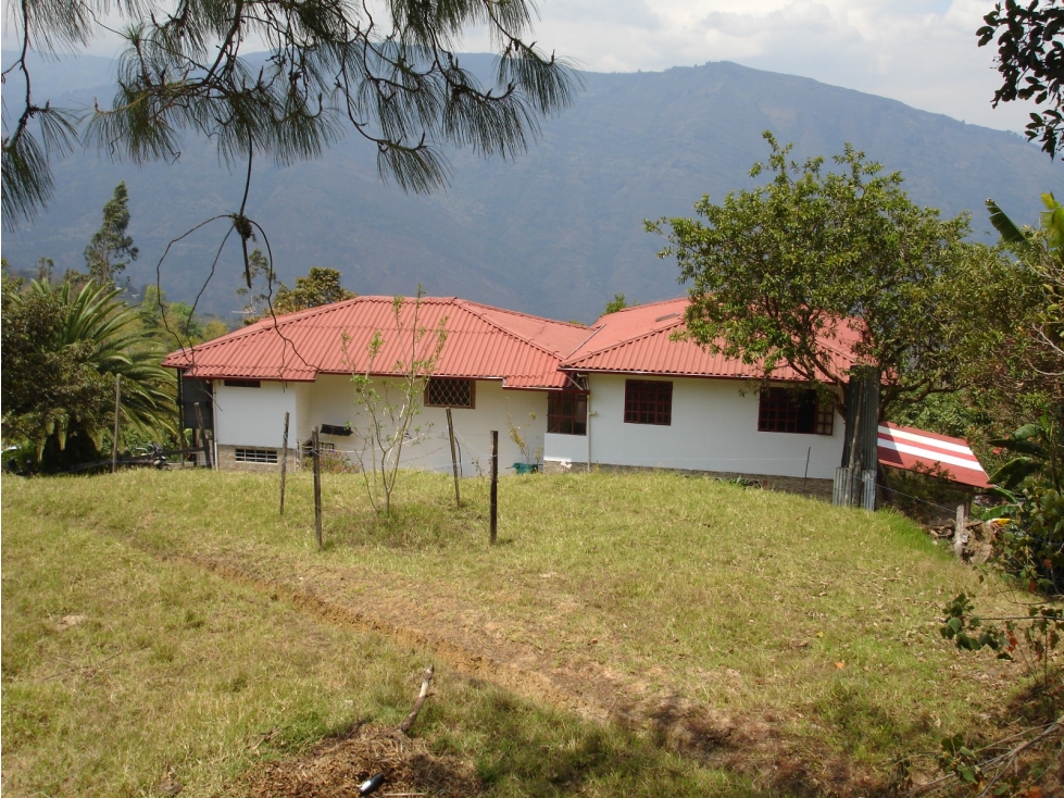 VENDO FINCA GUATEQUE - BOYACA - OPORTUNIDAD - 6