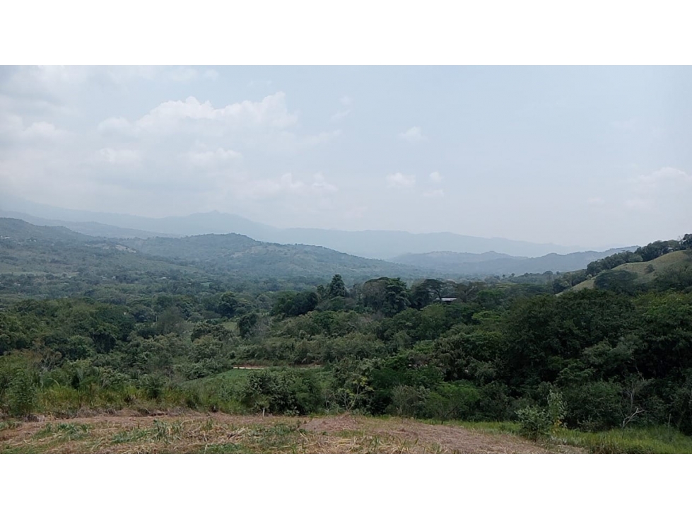 LOTES EN VENTA SAN ANTONIO DE APULO - CONJUNTO - OPORTUNIDAD - 2