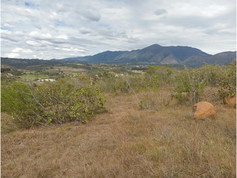 VENDO LOTE DE 18.000 METROS - SALTO Y LAVANDERA - VILLA DE LEYVA - 1