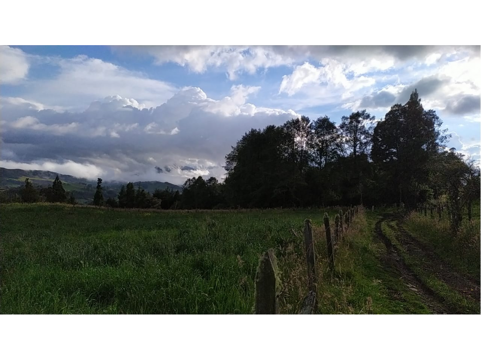 VENDO LOTE DE 19.200 METROS VEREDA SANTA HELENA EN LA CALERA - 5