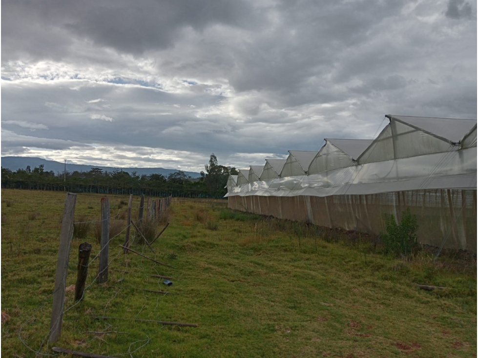 VENDO LOTE PLANO VEREDA SABANA DE 19.490 METROS - URGEME - 2