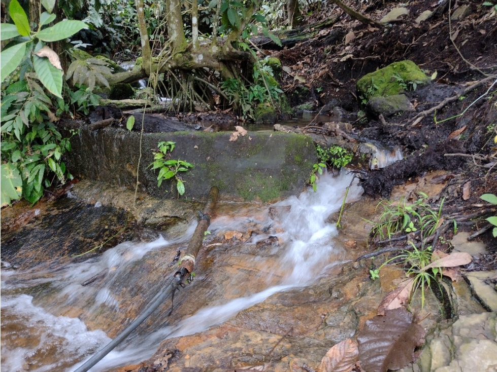 VENDO FINCA GANADERA DE 88 HECTAREAS EN MELGAR - TOLIMA - GANGA - 4