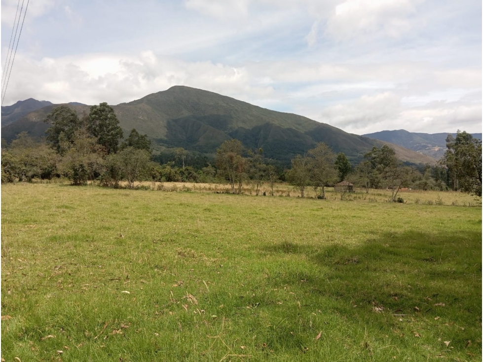 VENDO LOTE PLANO VEREDA CARDONAL - VILLA DE LEYVA - OPORTUNIDAD - 1