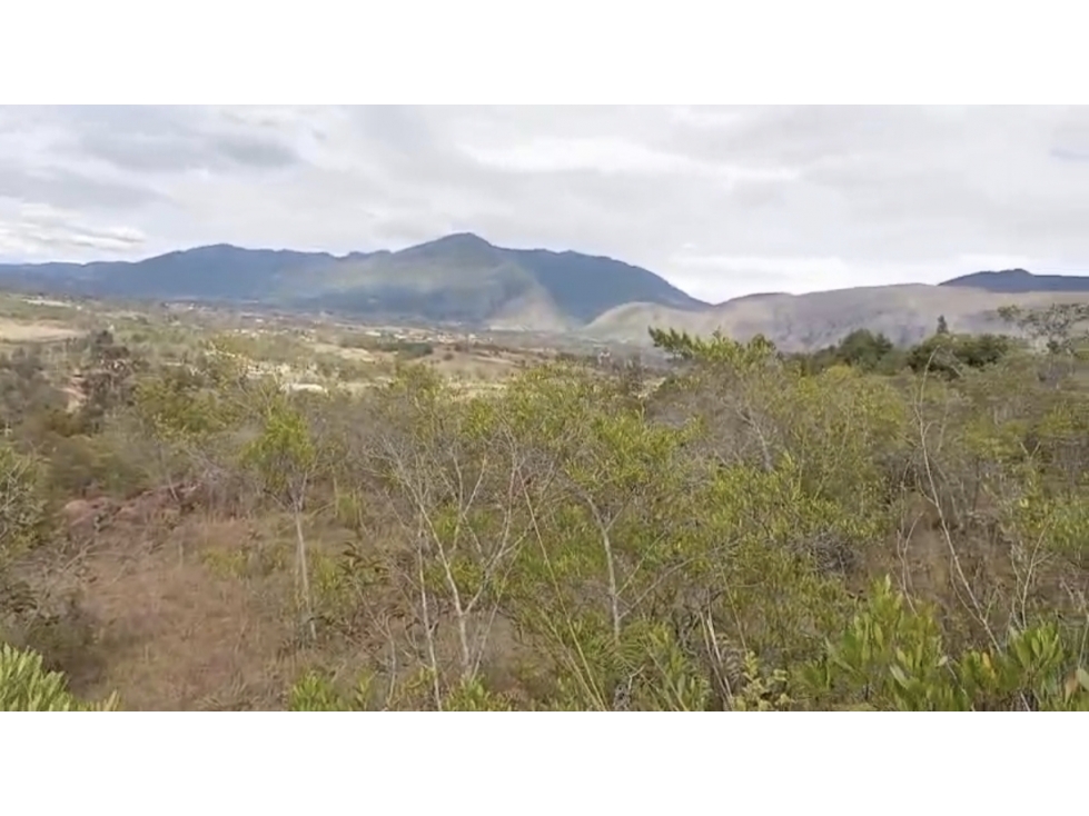 VENDO LOTE DE 18.000 METROS - SALTO Y LAVANDERA - VILLA DE LEYVA - 2